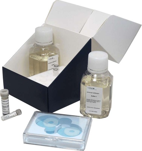 rqmicro-Test-Kit für Legionella pneumophila SG1. - rqmicro AG - © rqmicro AG
