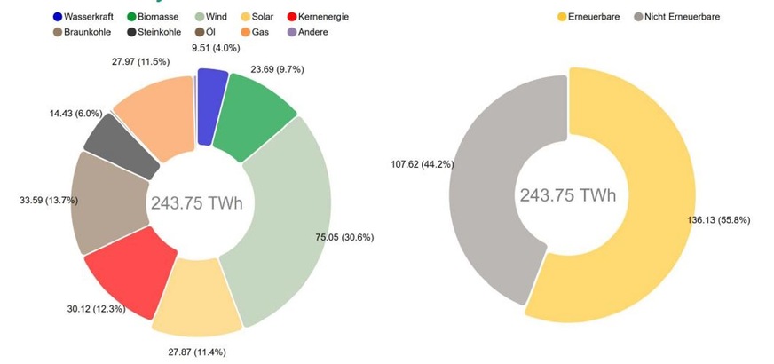 Nettostromerzeugung aus Kraftwerken zur öffentlichen Stromversorgung im 1. Halbjahr 2020 (Hochrechnung).