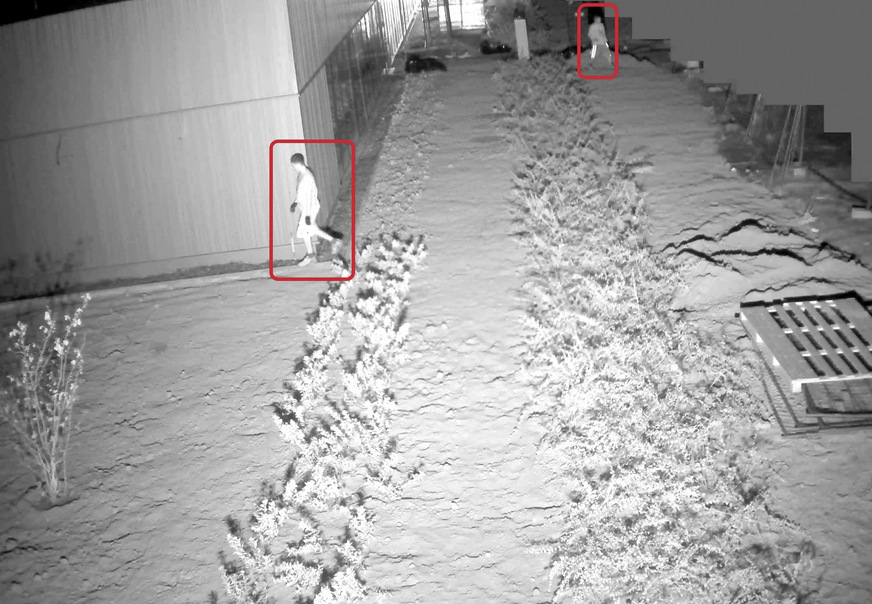 Bild 6: Die Auswertungssoftware analysiert die Kameradaten KI-gestützt in ­Echtzeit und erkennt Verdächtiges im Kamerabild selbstständig.