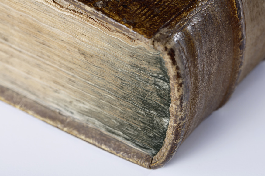 Bild 3 Schimmel und eine beschleunigte Alterung des Archivguts sind bei zu hoher Luftfeuchte vorprogrammiert. Auch niedergeschlagenes Wasser und Archivgut vertragen sich in aller Regel nicht.