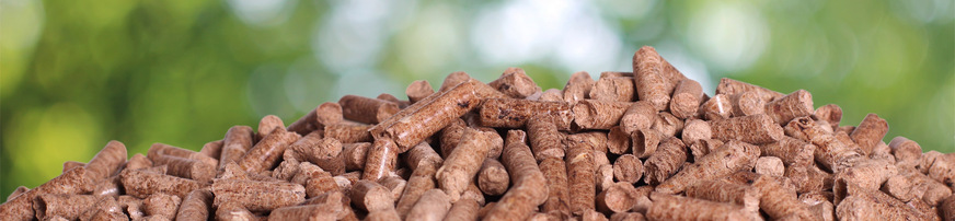 Erst seit etwa 10 Jahren werden in Deutschland Holzpresslinge in größerem Umfang hergestellt und in Heizkesseln und Kaminöfen eingesetzt.