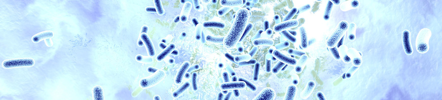 Es muss sichergestellt&nbsp;sein, dass Keime wie Legionellen das Trinkwasser im Gebäude nicht belasten und die Anforderungen&nbsp;der Trinkwasserverordnung eingehalten sind.