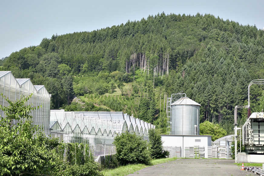 Bild 7 Holzpellet-Silo der Gärtnerei Göppert, dahinter ein Ausläufer des Schwarzwalds, aus dem der Brennstoff stammt. Im Zuge der Betriebserweiterung 2019 wurde die Heizzentrale erneuert. Seither deckt ein Pellet-Heizkessel die Grundlast ab. Bei Bedarf an Spitzenlast wird ein Gas-Heizkessel zugeschaltet.