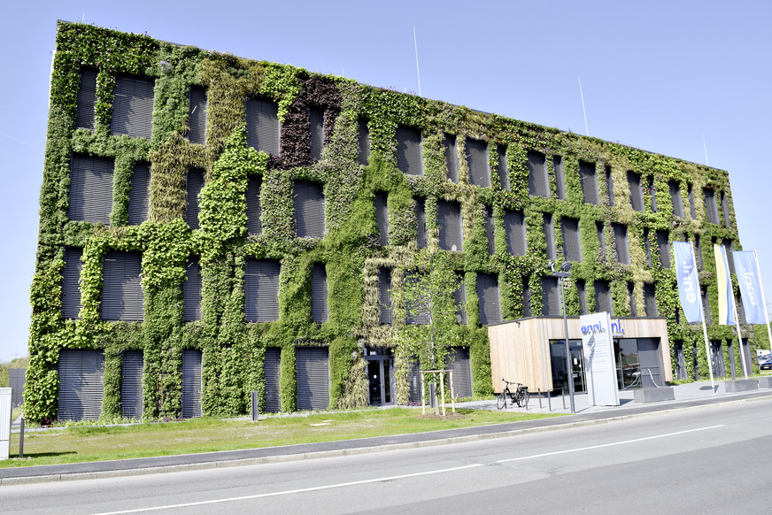 Bild 7 BuGG-Fassadenbegrünung des Jahres 2021. Das ENNI-Verwaltungsgebäude in Moers mit 600 m2 Wandbegrünung.