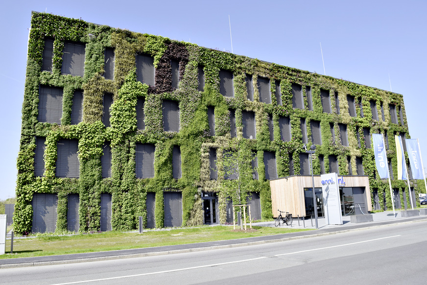 Bild 7 BuGG-Fassadenbegrünung des Jahres 2021. Das ENNI-Verwaltungsgebäude in Moers mit 600 m2 Wandbegrünung.