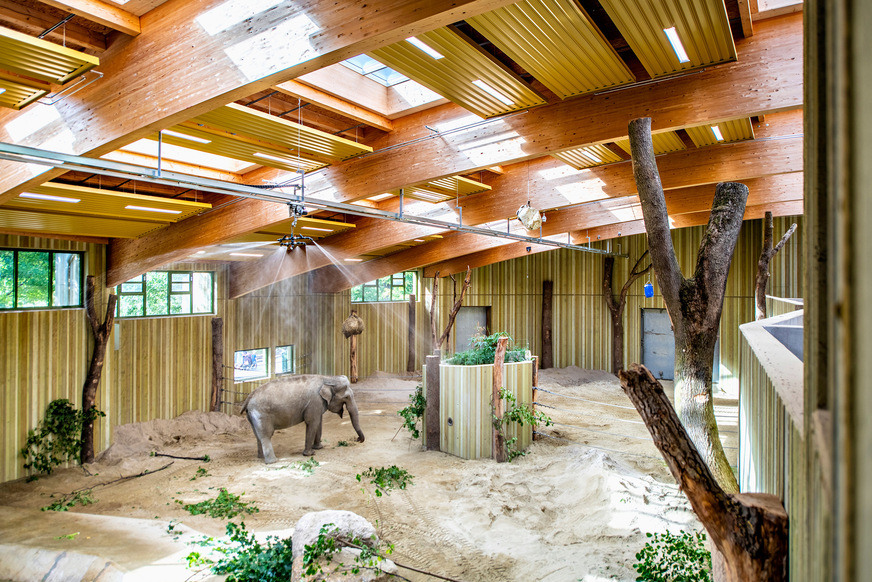 Bild 2 Aufgrund der hohen Luftfeuchtigkeit im Elefantenhaus müssen die Deckenstrahlplatten extrem korrosionsbeständig sein.