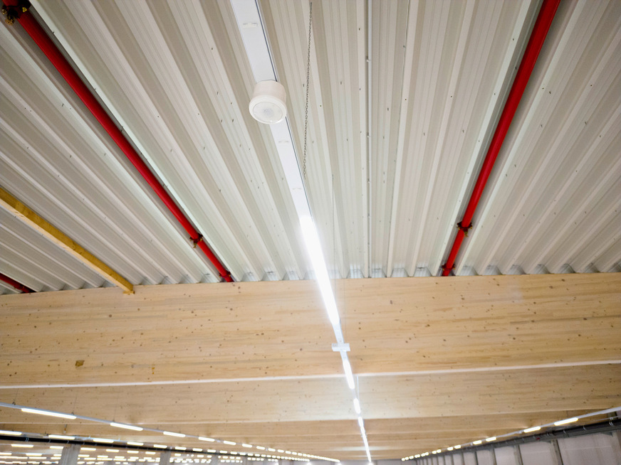 Bild 4 Die Passiv-Infrarot-Präsenzsensoren thePassa P360 DALI-2 ermöglichen eine besonders energieeffiziente Beleuchtung im BEOS-Logistikzentrum.