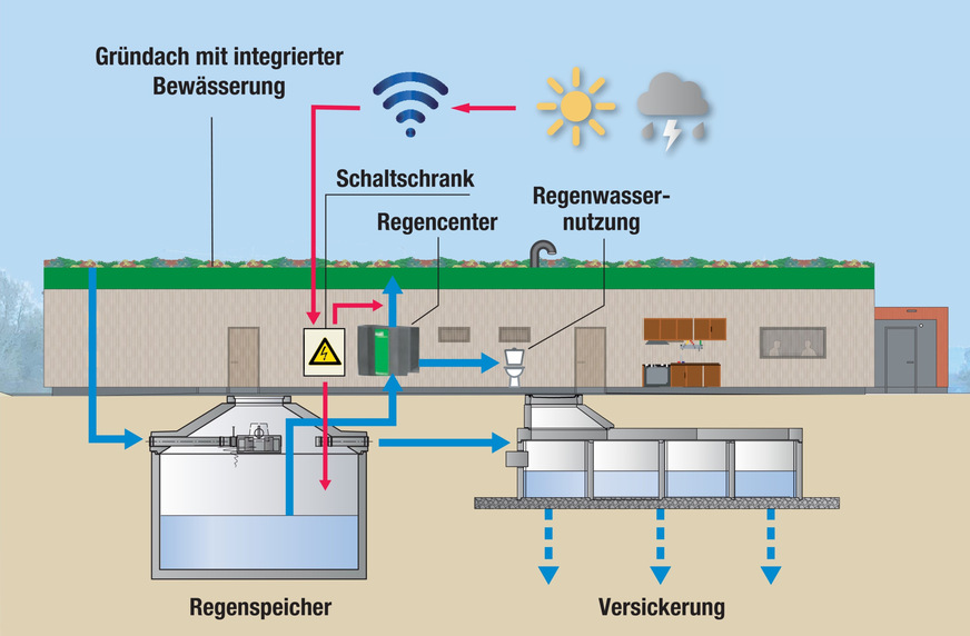 Bild 3 Schema der Regenwasserbewirtschaftung beim Neubau des SSC-Vereinsheims. Seit der Fertigstellung im November 2023 werden 100 % des Regenwassers auf dem Gelände bewirtschaftet. Ein Kanalanschluss für Regenwasser existiert nicht.