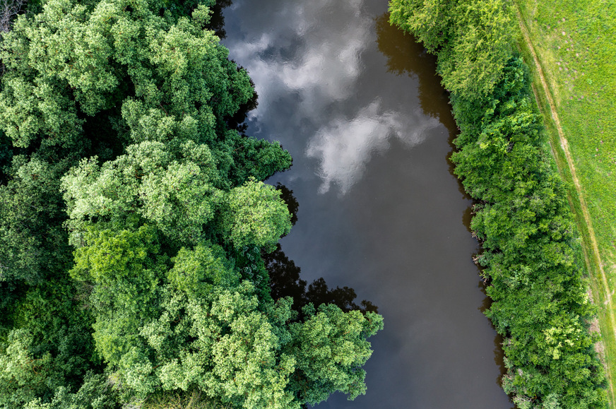 Bild 3 Das Vorkommen von Trifluoressigsäure bzw. ihrem Salz Trifluoracetat wurde in Bayern bereits Ende der 1990er-Jahre untersucht. In der damaligen Studie wurde eine niedrige, aber flächendeckende Belastung des Regenwassers und der Oberflächengewässer mit TFA nachgewiesen. Ende 2016 gelangte TFA wieder in den Fokus der Umweltbehörden in Deutschland, als in Baden-Württemberg eine hohe TFA-Belastung in Gewässern und Trinkwasser festgestellt wurde, die auf industrielle Einleitungen in den Neckar zurückzuführen waren. TFA gelangt über Kläranlagen, über Regenwasser (nach photochemischer Oxidation von fluorierten Kältemitteln wie R134a oder R1234yf), als Abbauprodukt von trifluormethylhaltigen Pflanzenschutz- und Arzneimittelwirkstoffen sowie aus natürlichen Quellen in die Umwelt. Quelle: Bayerisches Landesamt für Umwelt