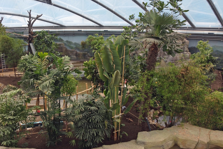 Bild 1 In der Meranti-Halle im Allwetter Zoo Münster wandeln die Besucher auf Abenteuerwegen durch das Tropenparadies und können auf Brücken, Balkonen und Aussichtstürmen Pflanzen und Tieren ungewohnt nahe kommen.