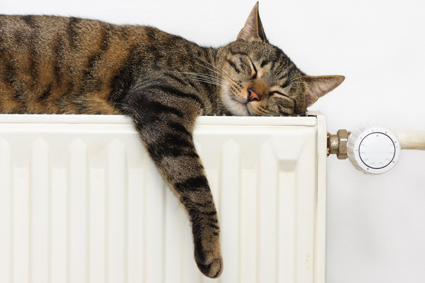 Warten auf sinkende Kosten für die Heizungsmodernisierung mit einer Wärmepumpe? Wer richtig rechnet, wird diese Strategie überdenken …