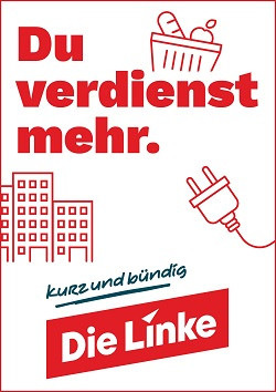 Titelseite des Kurzwahlprogramms von Die Linke.