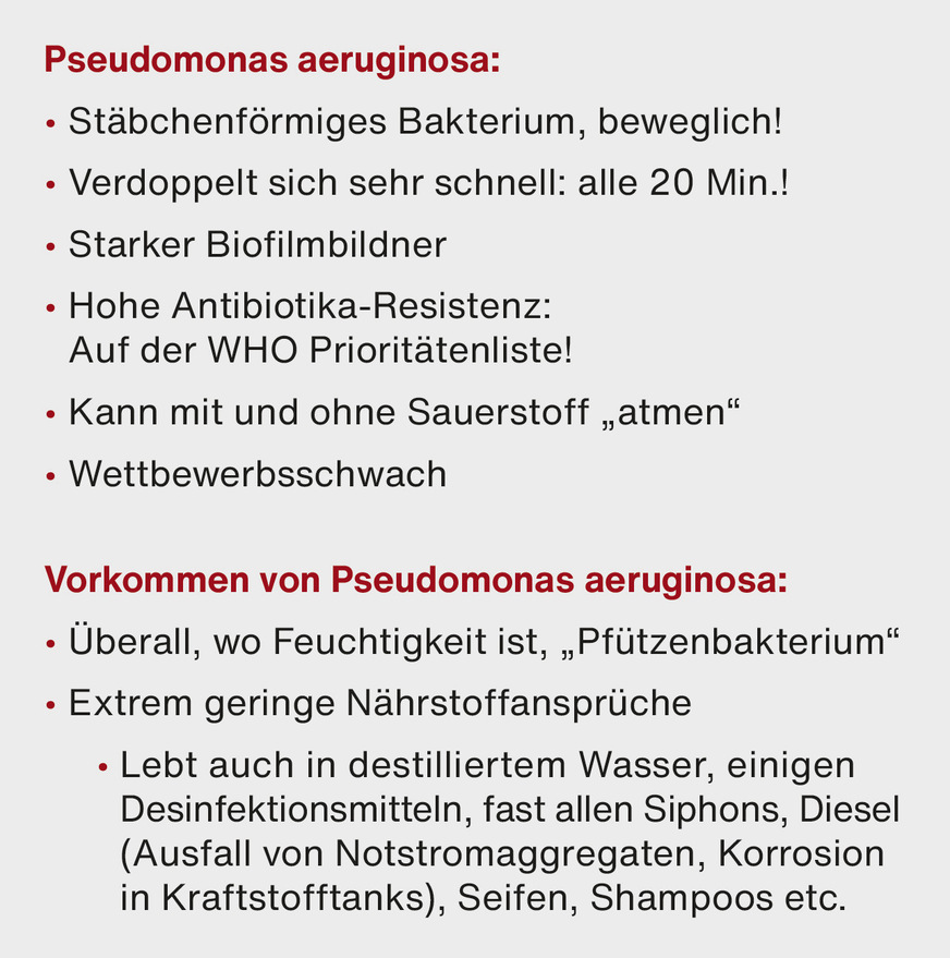 Bild 2 Wichtige Eigenschaften von Pseudomonas aeruginosa.
