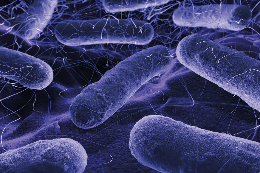 Bild 1 Wesentliche Eintragsquelle für Pseudomonas aeruginosa in die Trinkwasser-Installationen sind herstellerseitig kontaminierte Bauteile. Deswegen ist es wichtig, möglichst trocken geprüfte Bauteile einzusetzen [2].