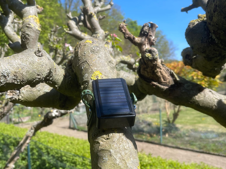 Bild 1 „Smarter Baum“ in Hürth.