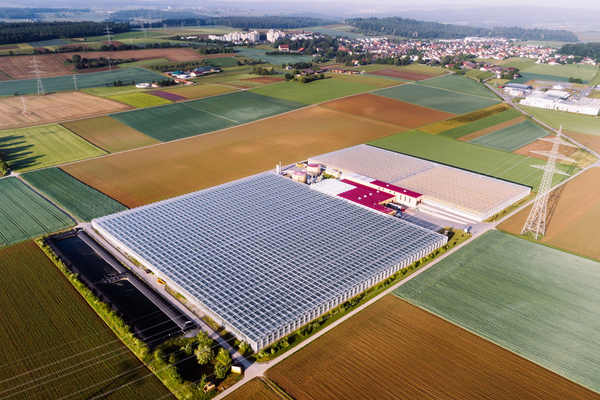 Treibhaus von Hagdorn Tomaten in Hochdorf / Enz.