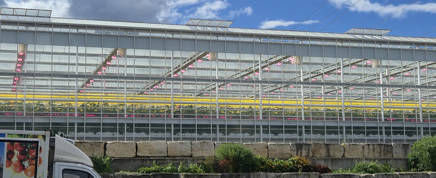 Tomaten gedeihen am besten bei konstanten, sommerlichen Temperaturen.
