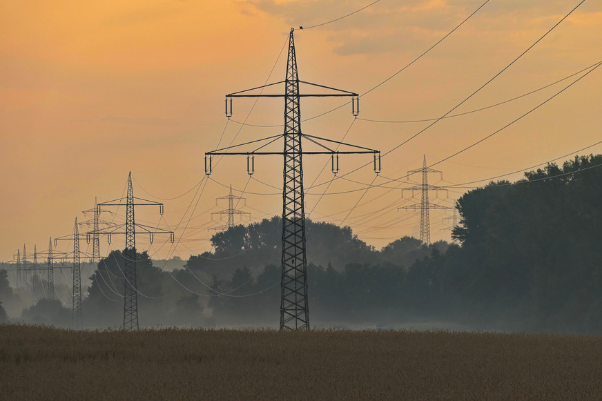 Der ZVEH fordert: Die Stromnetze sollten konsequent ausgebaut werden, um die Integration erneuerbarer Energien zu fördern.