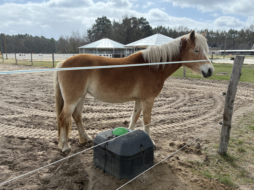 Bild 3 Frostsichere Tränke auf dem Freigelände.
