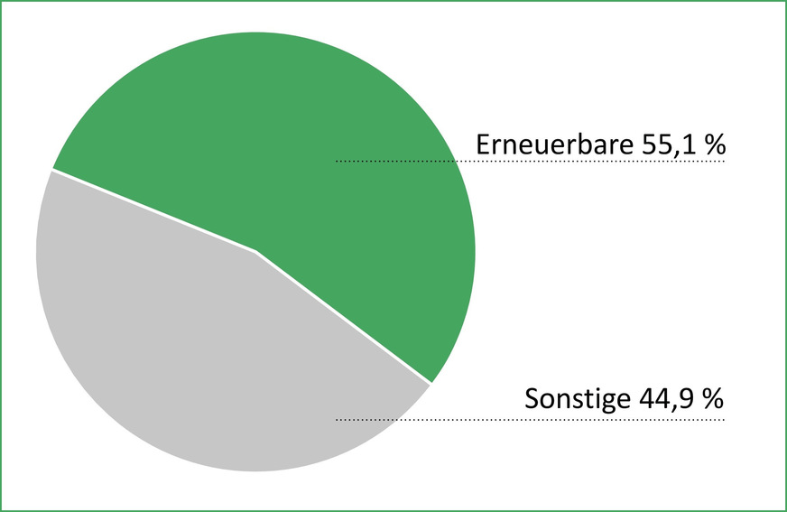 Bild 6 Anteil der erneuerbaren Energien am Bruttostromverbrauch (BSV) im Jahr 2025.