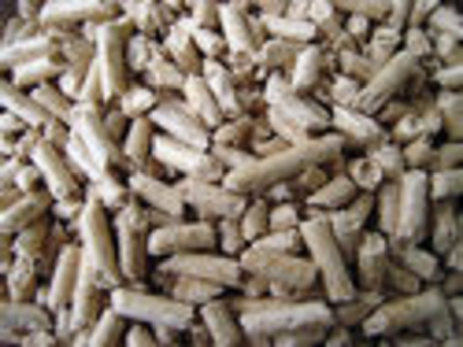 VDI-Richtlinie zur Holzpellet-Lagerung | TGA Fachplaner