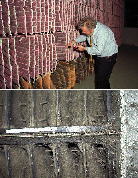 Luftfilter sollen zu einem ge­sunden Raumklima beitragen. Oft sind sie selbst ein Teil des Problems.