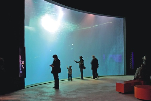 Das 9m tiefe Schwarmbecken fasst rund 2,6 Mio. Liter Wasser. Die 11×5m große Acrylglasscheibe ist mehr als 30cm dick und wiegt 22t. Ein Heringsschwarm im Aquarium ist eine besondere Rarität. Fang und Haltung stellen extrem hohe Anforderungen an die Aquarianer.