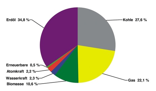 Bild 2 Anteile der Energieträger am weltweiten Endenergie-Verbrauch im Jahr 2006.