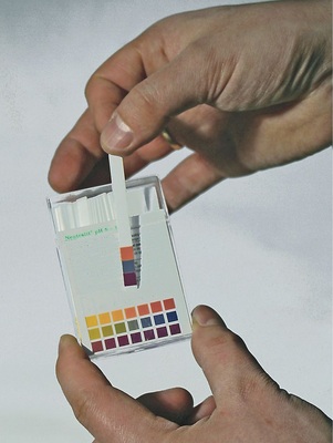 Bild 6 Der pH-Wert muss auf die verwendeten Materialien abgestimmt und stabilisiert werden. Ein Vor-Ort-Schnelltest zeigt grob an, wo der pH-Wert liegt. - © Hannemann
