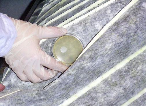 Abb. 2 Im Rahmen der ­Inspektion werden Kontaktkulturen — ­mikrobiologische ­Proben auf Ober­flächen — entnommen. Nach VDI 6022 sind sie für RLT-Geräte ohne Luftbefeuchtung alle drei Jahre ­auszuwerten.