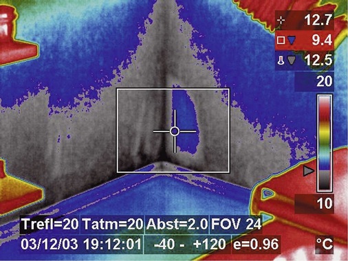 Abb. 7 Eine Alarm­funktion macht auf Problempunkte, wie feuchte Stellen oder Wärmebrücken aufmerksam. - © Flir
