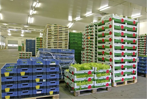 Abb. 4 Umschlagskühlhäuser, wie dieses Frischelogistik-Kühlhaus in Rheinland-Pfalz, eignen sich wegen des ­hohen Durchsatzvolumens und häufig ­geöffneter Tore nicht für einen Smart-Gridgesteuerten Betrieb.