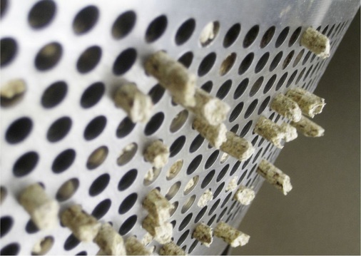 Abb. 2 Für die Holzpellet-Herstellung werden ­zunächst die Holzspäne aufbereitet und anschließend unter hohem Druck durch eine Stahlmatrize mit Bohrungen gepresst. Dabei findet eine Erwärmung statt, die das im Holz enthaltene Lignin ­verflüssigt, das dadurch als Bindemittel fungiert. Der Pressvorgang erhöht auch das Emissionsvermögen an Kohlenstoffmonoxid gegenüber den verwendeten Holzspänen.