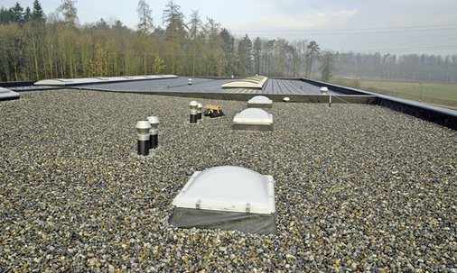 
3
 Die für die Regenwassernutzung benötigte Dachfläche von 2500 m
2
 ist mit Kies bedeckt. 



