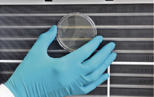 
4
 Mikrobiologische Prüfung / Untersuchung durch Kontaktkulturproben (Abklatschproben). 



