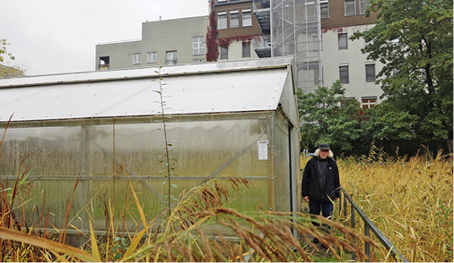 



7
 Gewächshaus der „Roof Water-Farm“ im Block 6 aus dem Jahr 2014. Fischzucht als Aquakultur und Gemüseanbau als Hydroponik in Verbindung mit Abwasserrecycling. 
