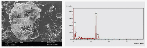 



9
 Ergebnis der SEM- und EDX-Analyse für das System C. 
