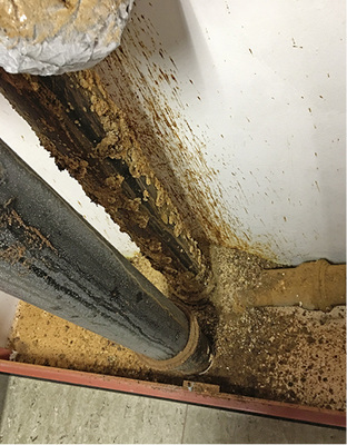 



3
 Korrosion an einer Gebäudeentwässerungsleitung (rechte Leitung). 
