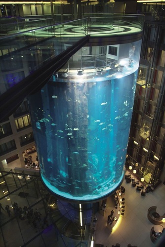 Highlight nach dem Seminar: In der Lobby des SAS Radisson Berlin befindet sich mit 25 m Höhe das weltgrößte zylindrische Aquarium. Der transparente Aufzug bietet den Meeresblick auf exotische Fische. - Uponor