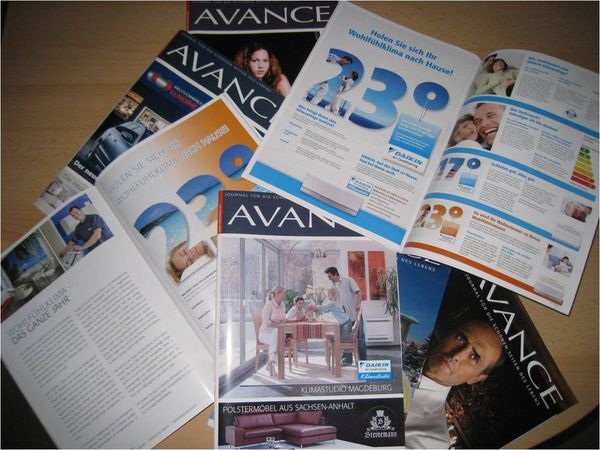 Begleitende Anzeigen für die Auftritte auf der Landesbauausstellung Magdeburg von Kälte-Klima-Elektro Neumann. - Daikin