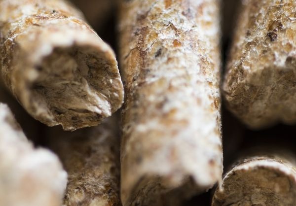 (c) FNR / D. Hagenguth - FNR / D. Hagenguth