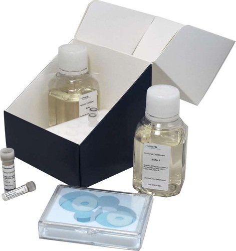 rqmicro-Test-Kit für Legionella pneumophila SG1. - rqmicro AG