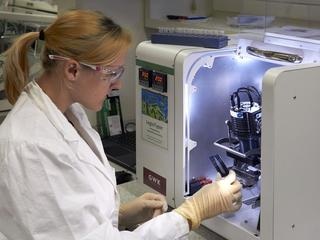 Erstautorin Catharina Kober mit dem LegioTyper-Chip. - Jonas Bemetz / TUM - © Jonas Bemetz / TUM
