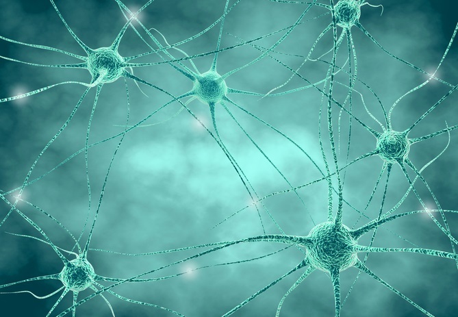 Das menschliche neuronale Netz stand Pate bei der Entwicklung der künstlichen neuronalen Netze für die Regelung von solarthermischen Heizungsanlagen. - image_jungle / iStock / Getty Images Plus - © image_jungle / iStock / Getty Images Plus
Das menschliche neuronale Netz stand Pate bei der Entwicklung der künstlichen neuronalen Netze für die Regelung von solarthermischen Heizungsanlagen. - image_jungle / iStock / Getty Images Plus - © image_jungle / iStock / Getty Images Plus