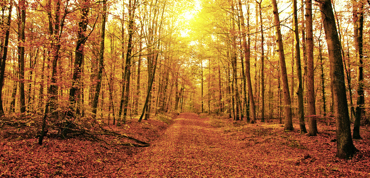 1 Deutschland wird seine Klimaschutzziele für 2020 und seine international eingegangenen Verpflichtungen zur Minderung der Treibhausgasemissionen deutlich verfehlen. Erstmals in 2020 wird Deutschland für die Zielverfehlung der Bereiche Verkehr, Gebäude, Industrie und Landwirtschaft Haushaltsmittel aufwenden müssen und den Bundeshaushalt schon in der laufenden Legislaturperiode erheblich belasten. Quelle: Begründung der Bundesregierung für das Bundes-Klimaschutzgesetz.