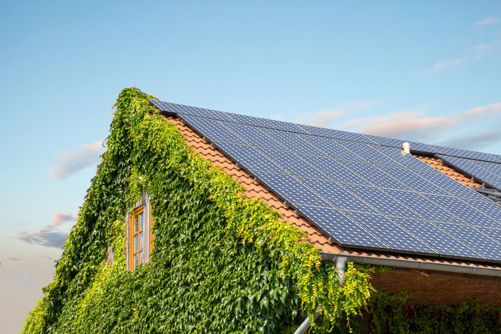 Die GroKo-Fraktionsspitzen haben sich auf eine Abschaffung des 52-GW-Förderdeckels im Erneuerbare-Energien-Gesetz geeinigt. - © ofc pictures / iStock / Getty Images Plus
