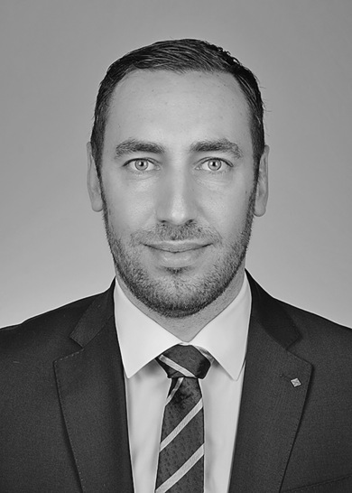 Sinisa Grubanovic