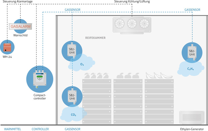 MSR-Electronic: Gasmessung in Reifekammer.