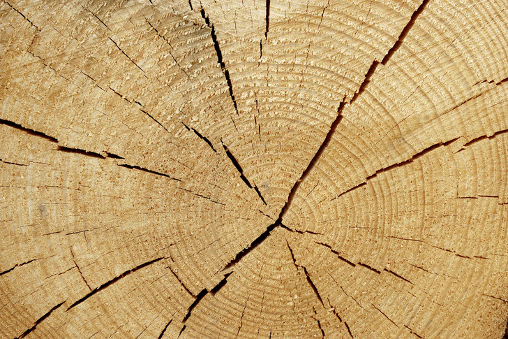 Bild 1:  Geschossdecken mit tragenden Elementen aus Holz in Form gesägter oder behauener (Decken-) Balken waren bis etwa 1940 bei Mehrfamilienhäusern üblich. Bei Modernisierungsmaßnahmen sind fast zwangsläufig Rochdurchführen erforderlich, die aber heutigen Anforderungen an den Brandschutz ­genügen müssen.