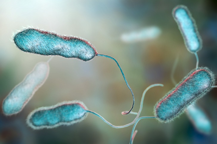 Legionella-pneumophila-Bakterium (3D-Illustration).